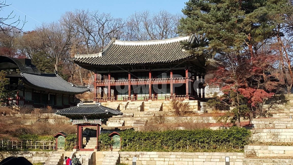 창경원,비원,후원,주합루,정원,royalgarden,garden,건축물,architecture,building,문화재,건물,secretgarden