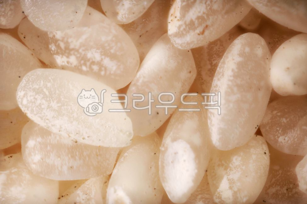 쌀,한국,밥,쌀알,macro,클로즈업,음식,확대,마크로,식사,현미경,background,배경,텍스처,texture,아시안