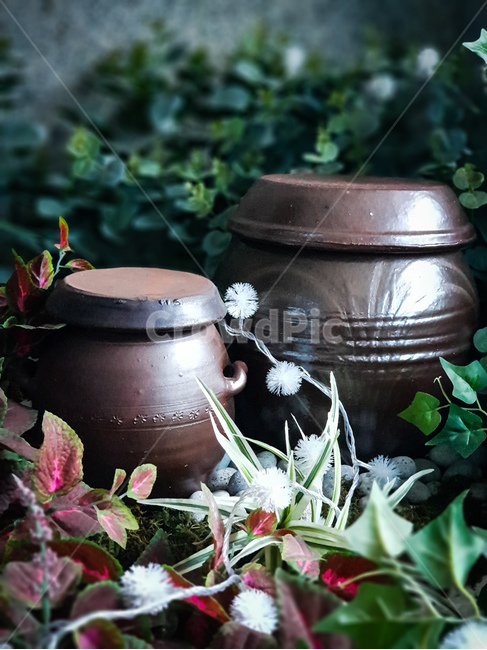 한국전통,항아리,장독,시골,음식,한국전통,한국문화,korean traditional,korean culture,사물,물건,오브젝트,thing,object,matter