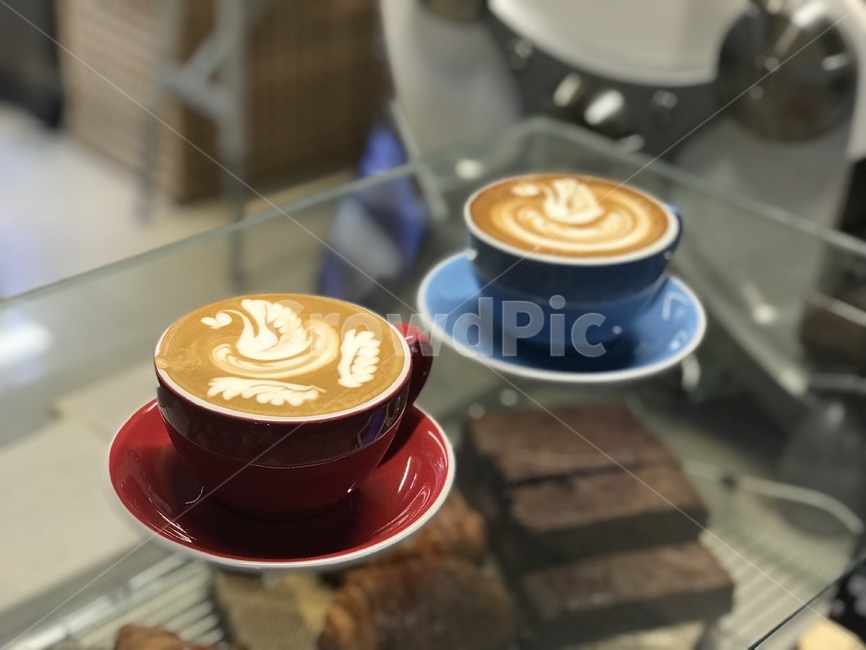 커피,라떼아트,커피아트,백조,카페라떼,coffee,latteart,coffeeart,swan,cafelatte,음료수,drink,beverage,커피,카페,coffee,cafe
