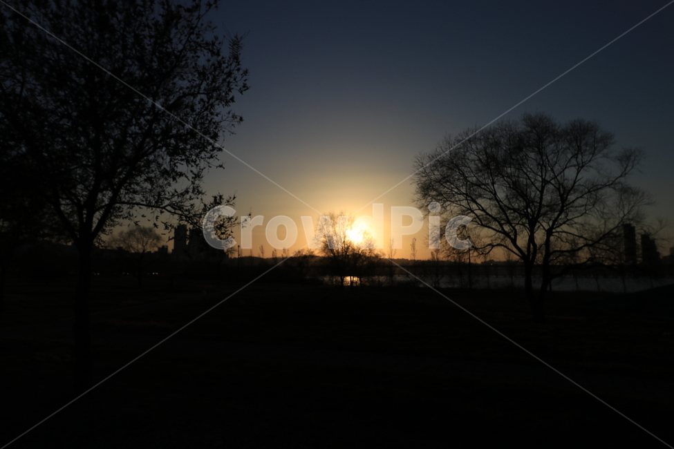 노을,석양,한강,역광,나무,sunset,backlight,hanliver,자연,풍경,nature,landscape,실루엣,그림자,silhouette,shadow,outdoors,옥외,dusk,황혼,일몰,sky,하늘,dawn,새벽,red sky,붉은 하늘,flare,플레어,light,빛,sunlight,햇빛
