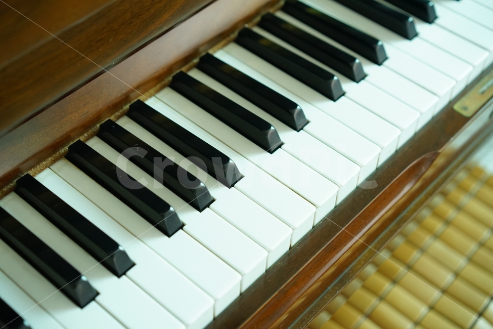 건반,음악,피아노,뮤직,취미,악기,연주,취미생활,piano,악기,음향기기,musical instrument,musical equipment