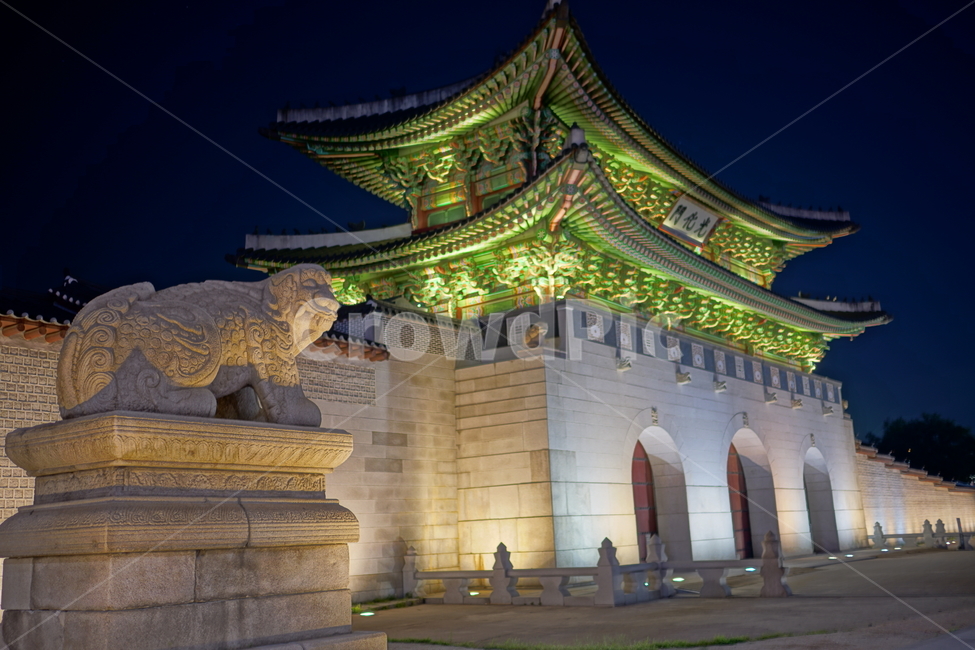 광화문,경복궁,궁궐,궁전,고궁,서울,한국,문화재,종로,종로구,사직로,조선왕조,조선시대,조선,역사,야경,korea,seoul,전통,한옥,성문,한양도성,성벽,캐슬,castle,한국전통,한국문화,서울야경,서울풍경,풍경,nightview,nightscene,nightscape,한국관광지,한국명소,랜드마크,landmark,landscape,culturalassets,culturalproperties,동상,석상,조형물,해태,야경,밤,풍경,nightscape,night,landscape,한국전통,한국문화,korean traditional,korean culture,랜드마크,landmark,tourist attraction,한국랜드마크,한국관광지,한국명소,korea landmark,korea tourist attraction,건축물,건물외관,exterior,building,structure,architecture,construction,건물,pagoda,탑,shrine,신사,worship,예배