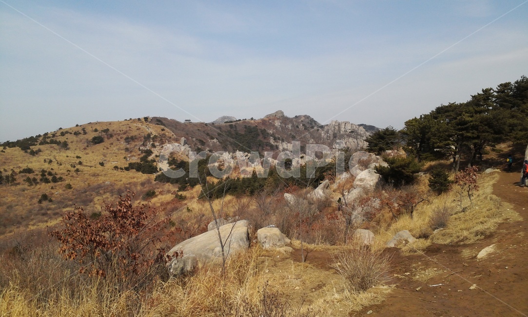 nature,자연,산,outdoors,옥외,가을산,금정산,등산,단풍,자연,풍경,nature,landscape,vegetation,초목,bush,부시,plant,식물