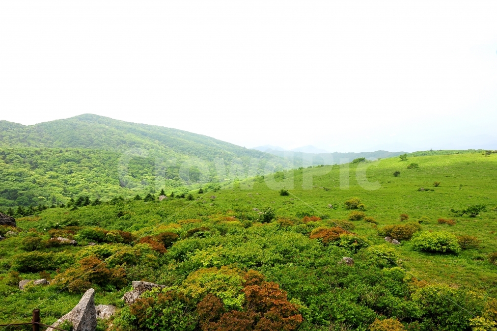 산,등산,소백산,여행,철쭉,자연,풍경,nature,landscape,outdoors,옥외,hill,언덕