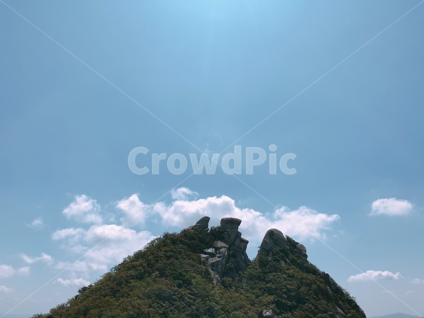 나무,하늘,산,날씨,등산