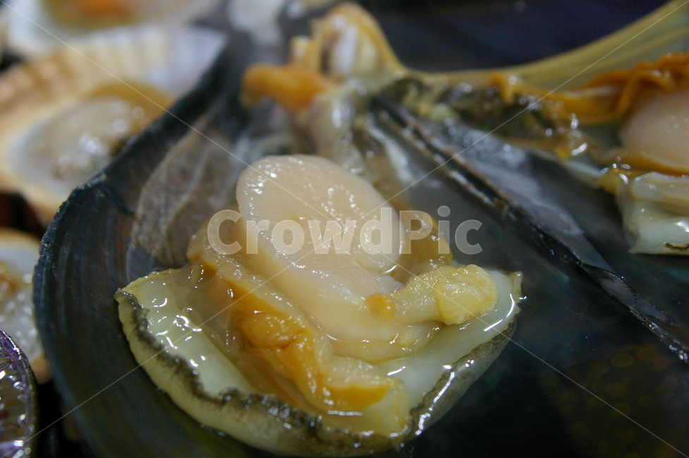 조개구이,음식,해산물,조개,씨푸드,해물,음식,식재료,요리,food,cook,meal,dishes,food reserves,수산물,해산물,fishery products,seafood