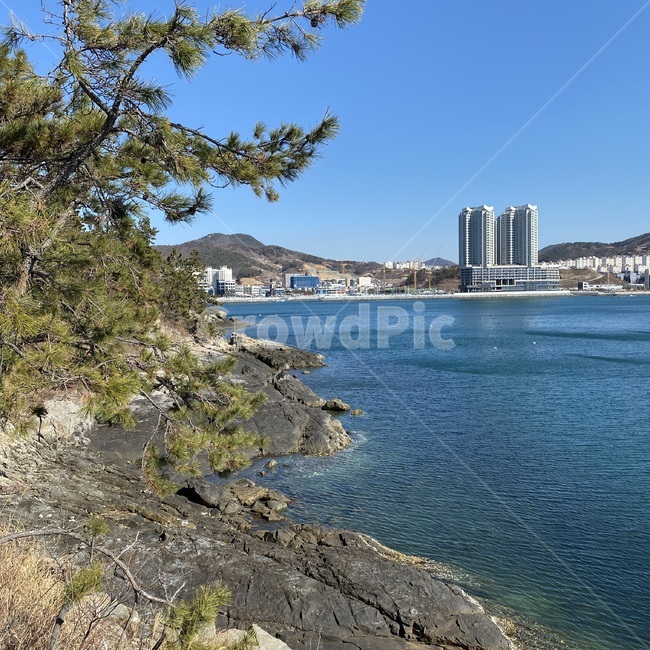 여수바다,장도,여수장도,파도,바다풍경,promontory,곶,nature,자연,water,물,옥외,outdoors,야외,푸른바다,파란하늘,건물,산,바다,산과바다,나무,소나무,절벽,바다파도
