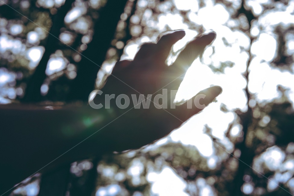 숲,햇빛,햇살,자연,초록,풍경,forest,green,sunshine,사람,인물,인간,human,person,신체일부,몸,body,손,제스처,표시,손짓,표현,gesture,hand,sign,expression,감성,sensible,feeling,휴식,힐링,rest,relaxation,healing