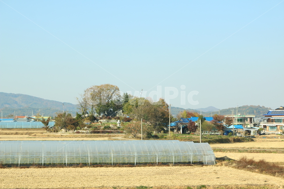 시골집풍경,시골마을,가을하늘,비닐하우스,시골논,시골,마을,풍경,landscape,country,rural,town