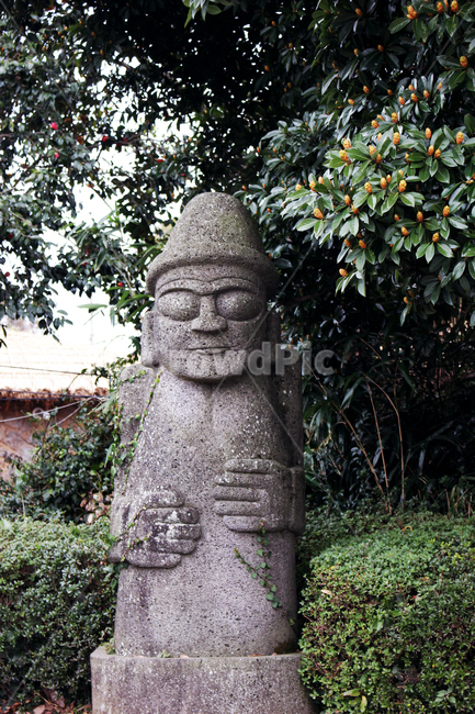 돌하르방,하르방,제주,제주도,제주감성,감귤,귤,귤나무,자연,평화로움,제주도,jeju,jeju island,조각상,동상,석상,조형물,statue,bronze statue,stone statue