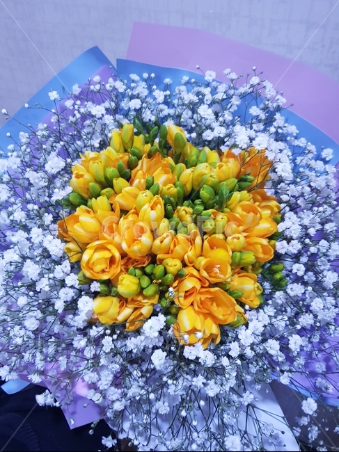 꽃,꽃다발,꽃선물,안개꽃다발,노란꽃,꽃,flower,기념일,축하,anniversary,congratulation,celebrate,celebration