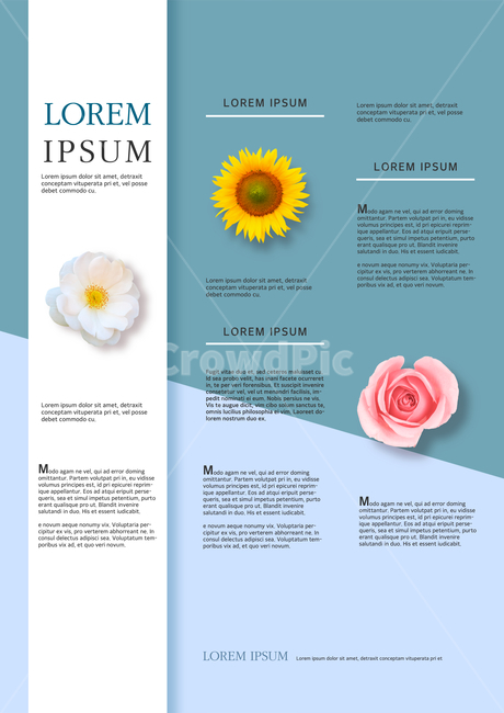 꽃,동백,해바라기,장미,텍스트박스,여름,표지,전단지,브로슈어,카달로그,꽃,flower,그래픽,일러스트레이션,graphic,illustration