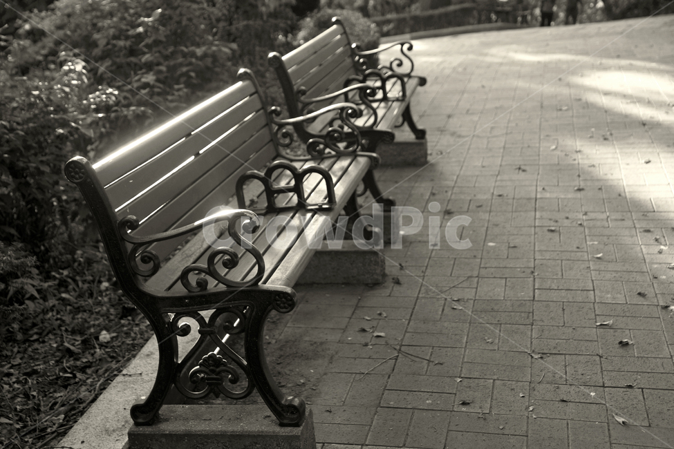 벤치,공원,자유공원,인천,휴식,쉼터,나무의자,흑백,흑백,모노톤,monochrome,black and white