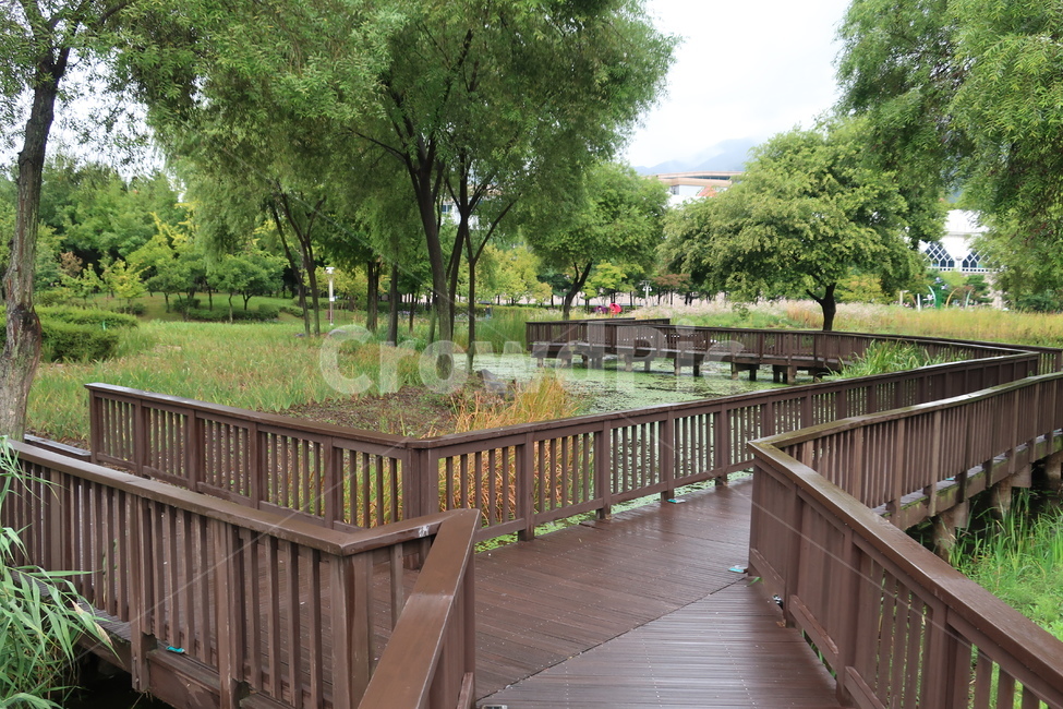 서울,창포원,식물원,도시,공원,습지,조성,숲,산책,산책로,자연,풍경,nature,landscape,railing,난간,banister,handrail