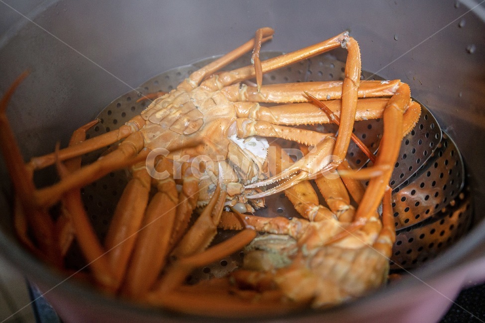 만든요리,요리,대게,홍게,홍게찜,찜,게찜,게요리,홍게요리,음식,식재료,요리,food,cook,meal,dishes,food reserves,수산물,해산물,fishery products,seafood