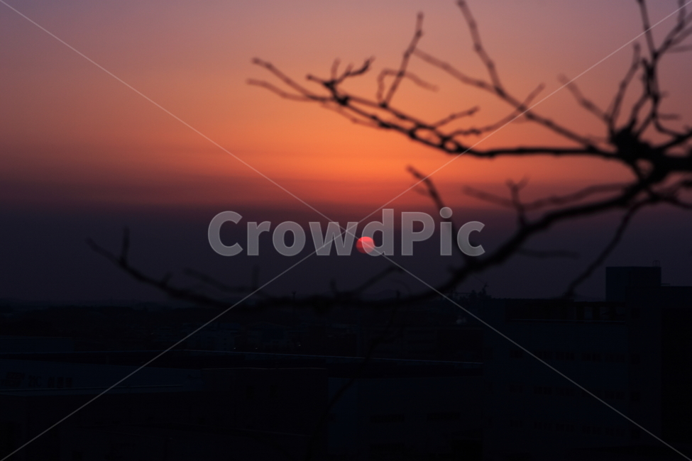석양,풍경,노을,바탕화면,달력,자연,풍경,nature,landscape,outdoors,옥외