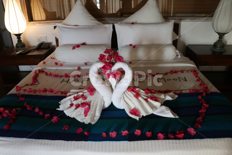 허니문,신혼,여행,신혼여행,호텔,침대,결혼,honeymoon,wedding,travel,hotel,bed,bedroom,love,swan,towel,rose,decoration,결혼,혼례,웨딩,wedding,marriage,marry
