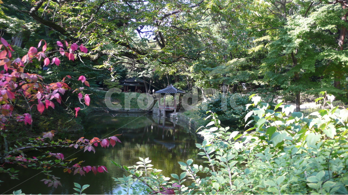 정원,조선시대,창덕궁,자연,연못,전통,자연,풍경,nature,landscape,한국자연풍경,한국자연경관,korea nature landscape,한국전통,한국문화,korean traditional,korean culture,랜드마크,landmark,tourist attraction,한국랜드마크,한국관광지,한국명소,korea landmark,korea tourist attraction,water,물,outdoors,옥외,land,땅