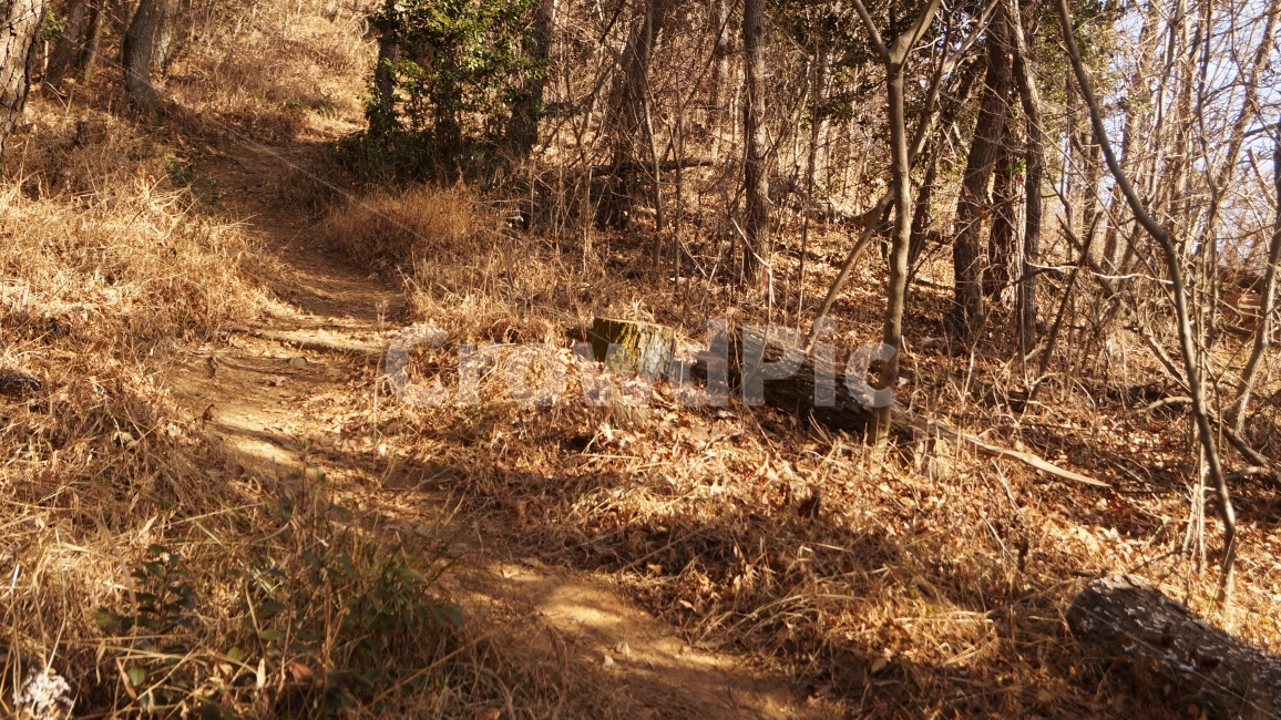 산,산책길,등산,오르다,나무,자연,풍경,nature,landscape,ground,바닥
