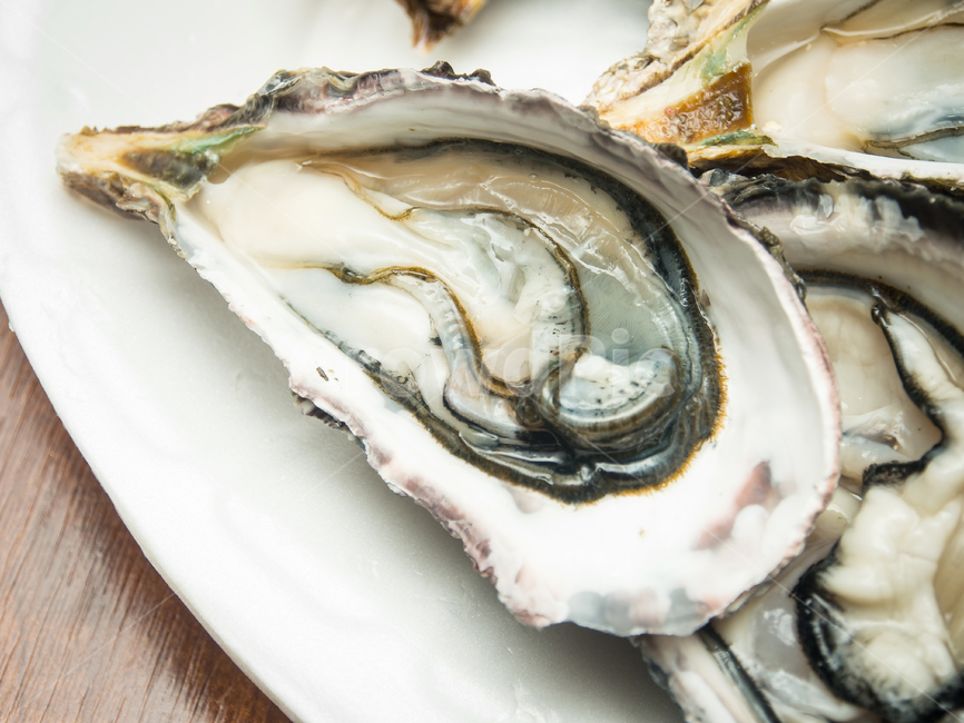 스시,횟집,해산물,굴,oyster,음식,식재료,요리,food,cook,meal,dishes,food reserves