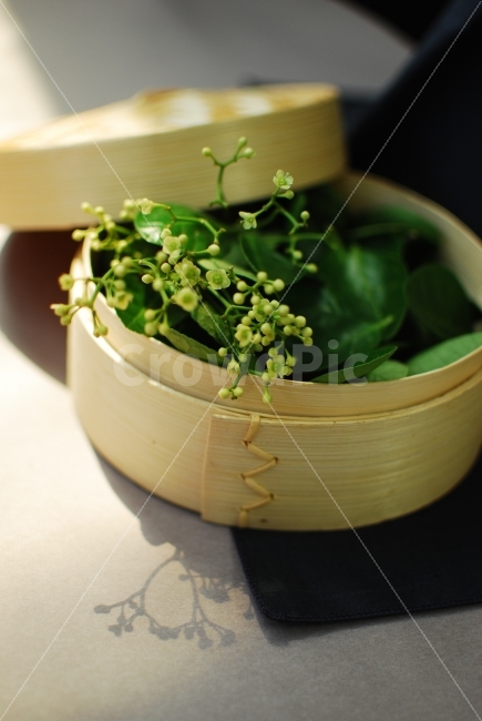 여름,싱그러움,싱그러운,감성사진,건강,생동감,대나무,음식,FOOD,건강함,부모님,예쁜사진,찜기,떡,식물,꽃,자연,네츄럴,추석,선물,음식포장,식물,자연,plants,nature,한국전통,한국문화,korean traditional,korean culture,기념일,축하,anniversary,congratulation,celebrate,celebration,사물,물건,오브젝트,thing,object,matter,연출,컨셉,콘셉,direction,concept