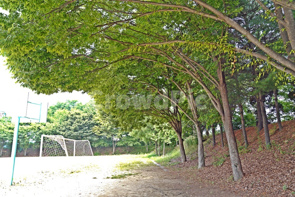 학교운동장,여름,평범함,운동장,그늘,휴식,시원함