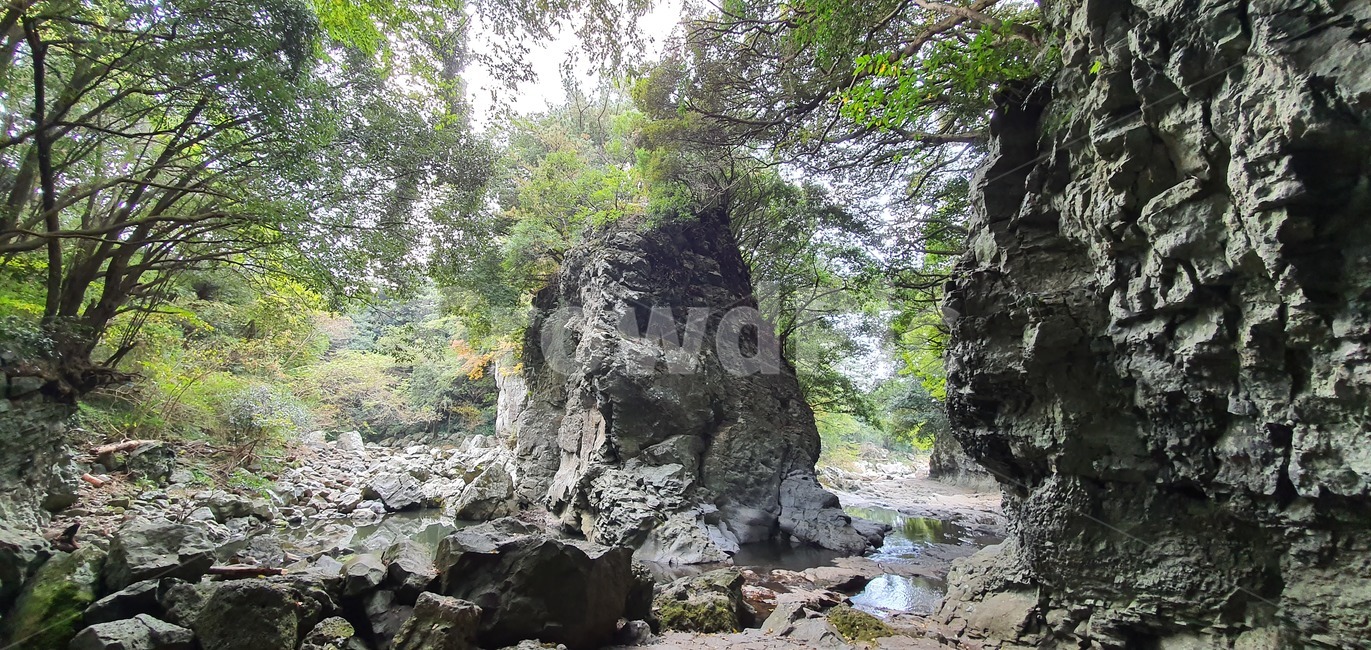 nature,자연,계곡,물,outdoors,자연,풍경,nature,landscape