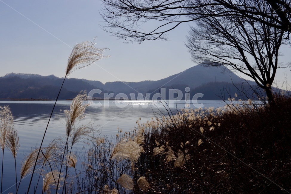 하늘,분위기,감성,풍경,프레임,호수,가을,계절,fall,autumn,season,자연,풍경,nature,landscape,grass,잔디,plant,식물,lawn,reed,갈대
