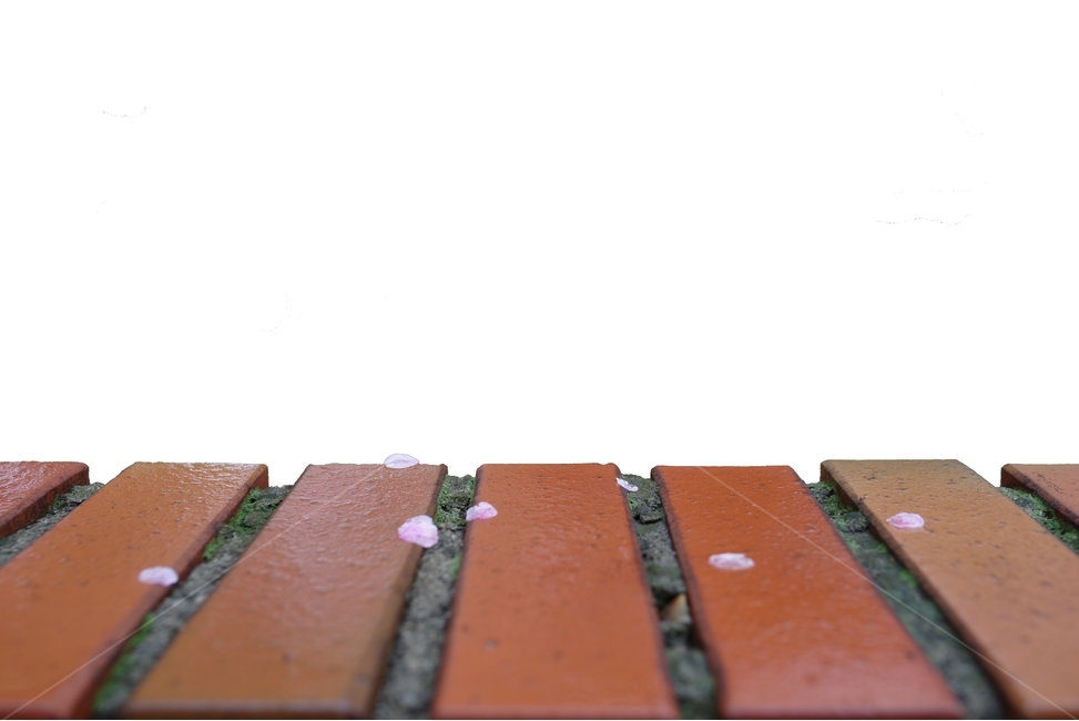 누끼,벽돌,담장,꽃잎,배경,오브젝트,누끼,remove background