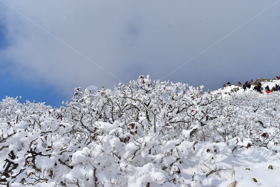 무등산,국립공원,풍경,힐링,산행,설경,상고대,서리꽃,서석대,입석대,안양산,백마능선,장불재,증심사,중봉,중머리재,천왕봉,지왕봉,Korea,National,Park,눈풍경,등산,주상절리,판타스틱,겨울왕국,겨울,지질공원,인왕봉,천지인,설국,2018년,1월,눈꽃,파란하늘,트레킹,winter,landscape,감성,아름다운,황홀한,장관,비경,선경,최고,사진,겨울,계절,winter,season,자연,풍경,nature,landscape,한국자연풍경,한국자연경관,korea nature landscape,outdoors,옥외,snow,눈