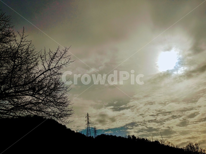 하늘,풍경,자연,태양,해,sky,자연,풍경,nature,landscape,식물,plants,나무,trees,wood,실루엣,그림자,silhouette,shadow