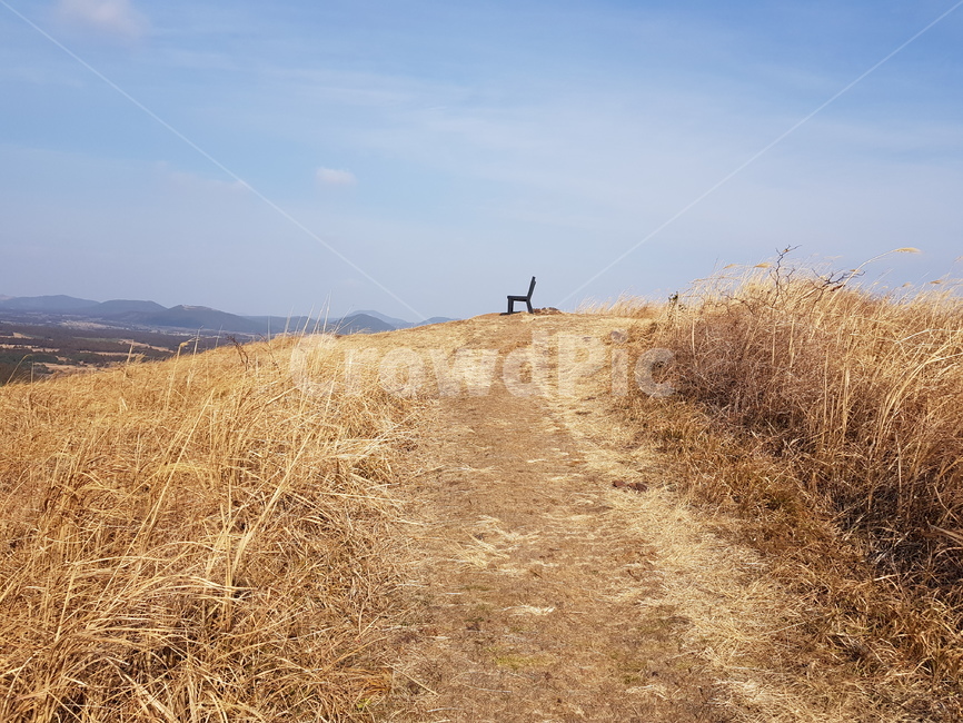 따라비오름,오름,제주도오름,제주오름,갈대밭,제주도,jeju,jeju island,outdoors,옥외,grassland,목초지,field,들,nature,자연