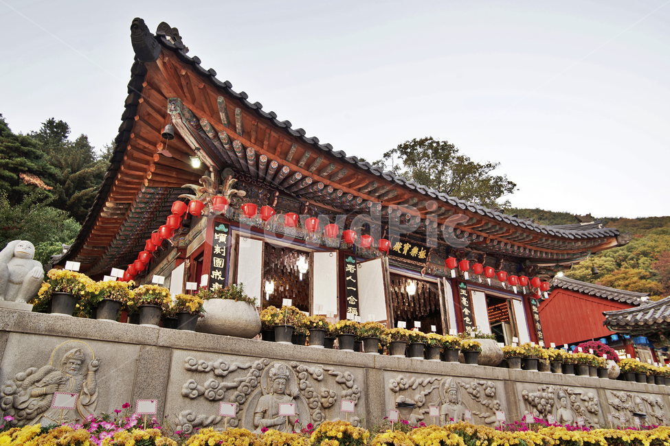 청계사,사찰,불교사찰,의왕시,극락보전,아미타불,한국전통,한국문화,korean traditional,korean culture,종교,신앙,religion,belief,faith