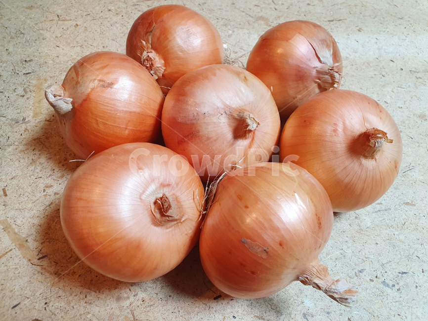 음식,food,양파,onion,야채,vegetable,음식재료,음식,식재료,요리,food,cook,meal,dishes,food reserves