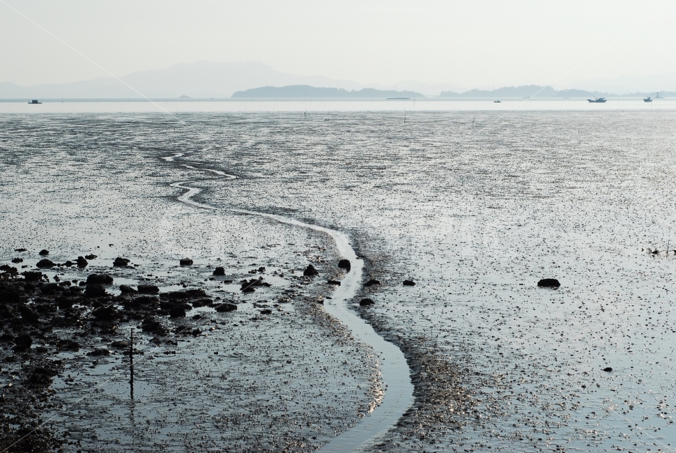 갯벌,갯골,바다,생태계,바다풍경,생명,자연,풍경,nature,landscape,한국자연풍경,한국자연경관,korea nature landscape,해변,바다,beach,sea