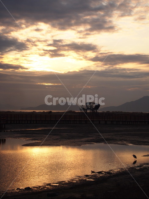 바다,노을,해질녘,다대포,sea,하늘,sunset,부산,자연,해안,풍경,beach,nature,일몰,일몰사진,석양,감성,사진,붉은하늘,낭만,저녁놀,태양,황혼,운치,저녁하늘,자연,풍경,nature,landscape,water,물,waterfront,워터 프론트,outdoors,옥외