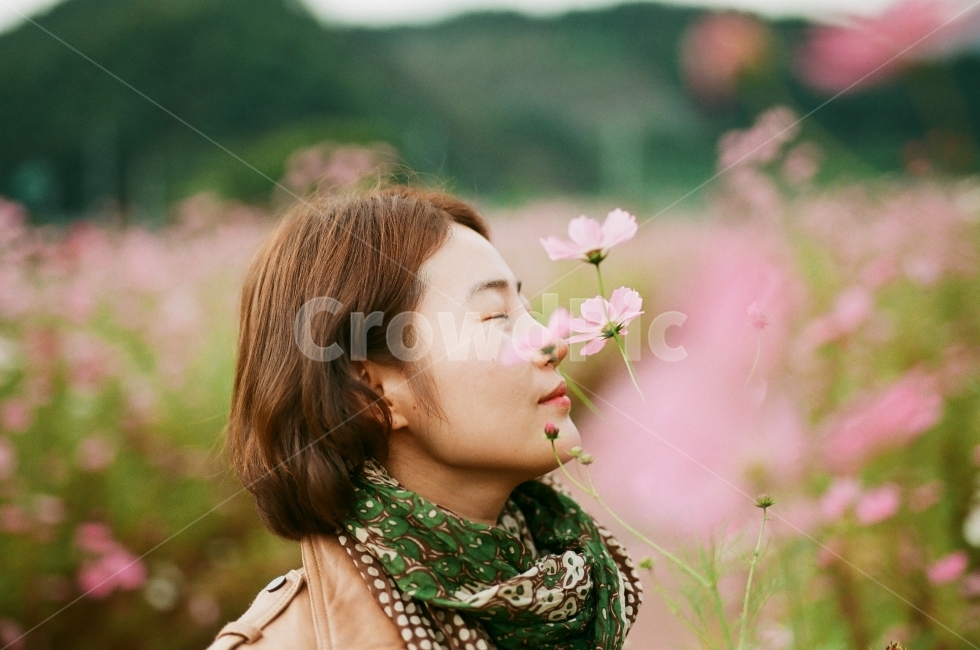 단양,코스모스,가을,가을꽃,꽃밭,꽃,모델,인물사진,가을,계절,fall,autumn,season,식물,자연,plants,nature,꽃,flower,사람,인물,인간,human,person,얼굴표정,facial expression,face,여성,여자,woman,female,lady,감성,sensible,feeling