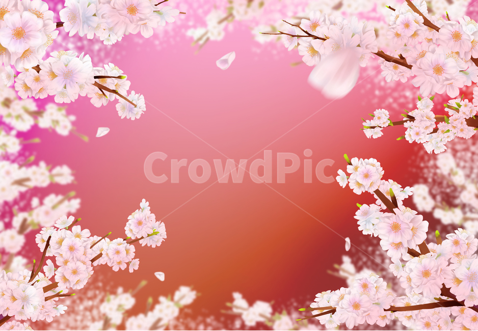 벚꽃,봄,나무,여름,하얀,꽃잎,잎,사쿠라,벚꽃일러스트,일러스트,꽃일러스트,체리,분기,시즌,4월,풍경,아름다운,아름다움,꽃이만발한,식물학,꽃봉오리,장식,디자인,꽃,신선한,정원,원예,일본,동양식물,낭만,환경,꽃정원,매크로,자연,식물,계절,꽃놀이,벚꽃구경,벚꽃축제,만발,만발한,흐드러진,컨셉,벚꽃세상,벚꽃놀이,꽃풍경,자연경치,설렘,예쁜,배경,따스한배경,화사한,cherryblossom,spring,cherry,blossom,nature,flower,tree,background,beautiful,white,season,bloom,plant,beauty,natural,petal,fresh,flora,botany,april,blossoming,springtime,flowers,landscape,cherryillustration,illustration,flowerillustration,gardening,orientalplants,romantic,plants,macro,seasons,cherryblossomviewing,cherryblossomworld,flowerscenery,naturalscenery,flutter,pretty,warmbackground,japaneseflower,빨간,빨간색,강렬한,분홍벚꽃,분홍색,핑크,따뜻한,컬러,분홍,red,intense,pinkcherry,warm,color,pink