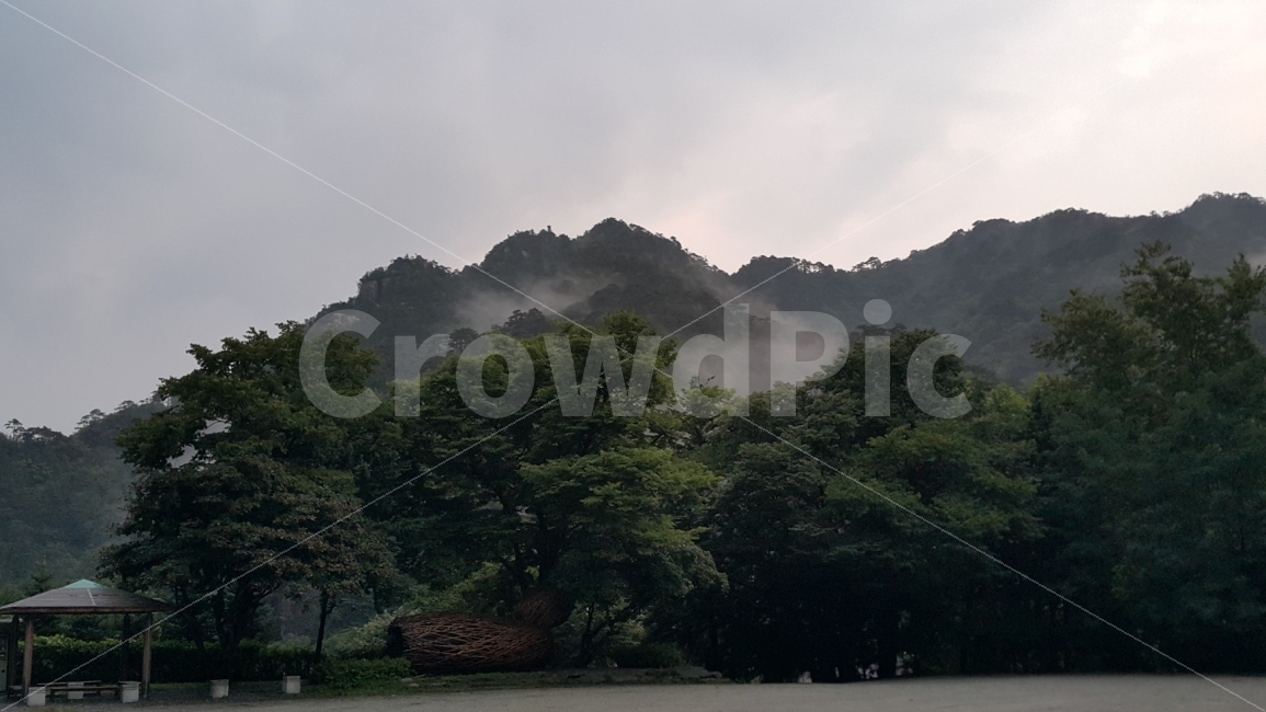풍경,산,구름,안개,비온후,휴게소,자연,여행,초록,자연,풍경,nature,landscape,outdoors,옥외