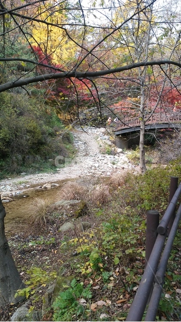 scenery,autumn,가을,산,풍경,단풍,산책,가을,계절,fall,autumn,season,road,도로