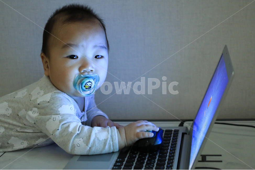 아기,애기,컴퓨터,노트북,집중,업무,야근,워라밸,타이핑,랩탑,유아,영아,귀여운,자판,타자,남자아이,남자아기,일,아들,작업,모니터,키보드,작은,어린,아가,인터넷,얼리어답터,사무직,아동,아동노동,사람,인물,인간,human,person,영유아,아기,애기,아이,infants,baby,정보통신기술,전자기기,전자제품,it,information,technology,electronic equipment