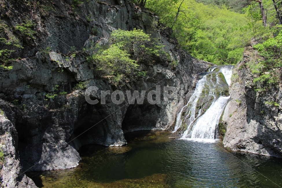 폭포,계곡,여름,시원한,waterfalls,summer,fresh,cold,water,물,나무,자연,nature,주왕산폭포,주왕산,동굴,cave,자연,풍경,nature,landscape,한국자연풍경,한국자연경관,korea nature landscape,outdoors,옥외,river,강