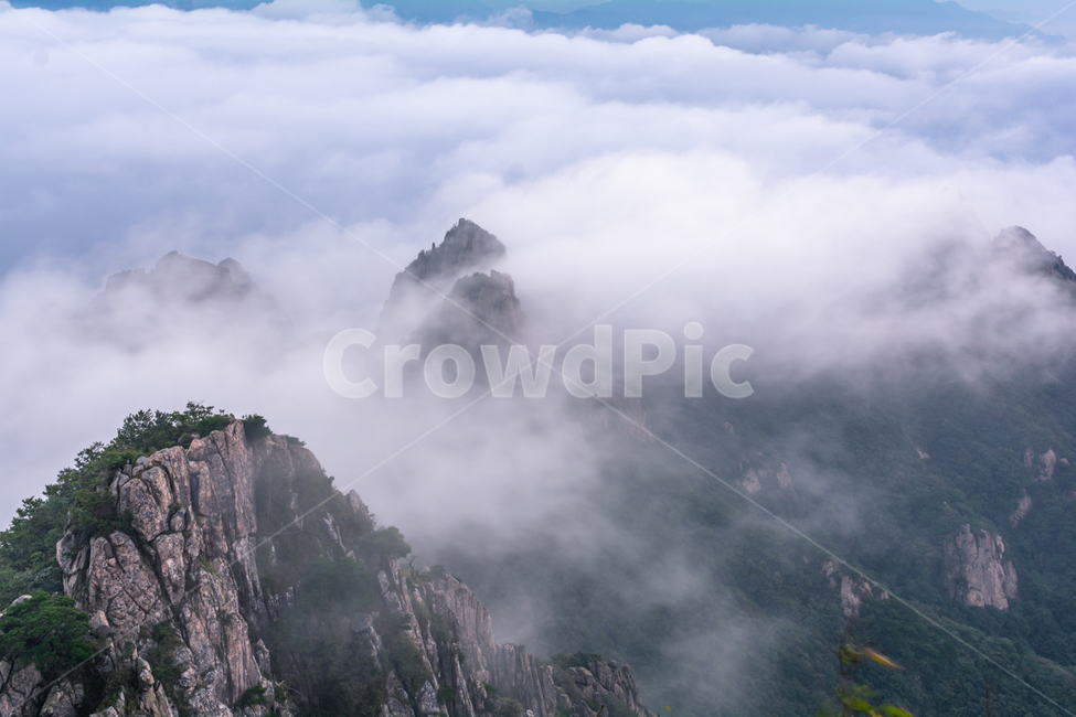 자연,운해,월출산,아웃도어,outdoor,일출,자연,풍경,nature,landscape