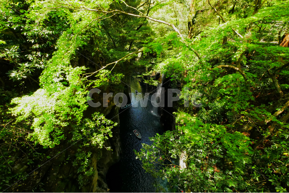 일본,미야자키,자연,풍경,타카치호협곡,녹읍,보트,일본풍경,자연,풍경,nature,landscape,해외,외국,세계,foreign,oversea,world,세계자연풍경,해외자연풍경,외국자연풍경,world nature landscape,휴식,힐링,rest,relaxation,healing,water,물,river,강,outdoors,옥외,waterfall,폭포