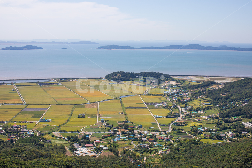 가을,논,추수,벼,outdoors,옥외,nature,자연,landscape,경치,scenery,풍경,aerialview,조감도,바다,sea,제주도,jeju,jeju island,시골,마을,풍경,landscape,country,rural,town