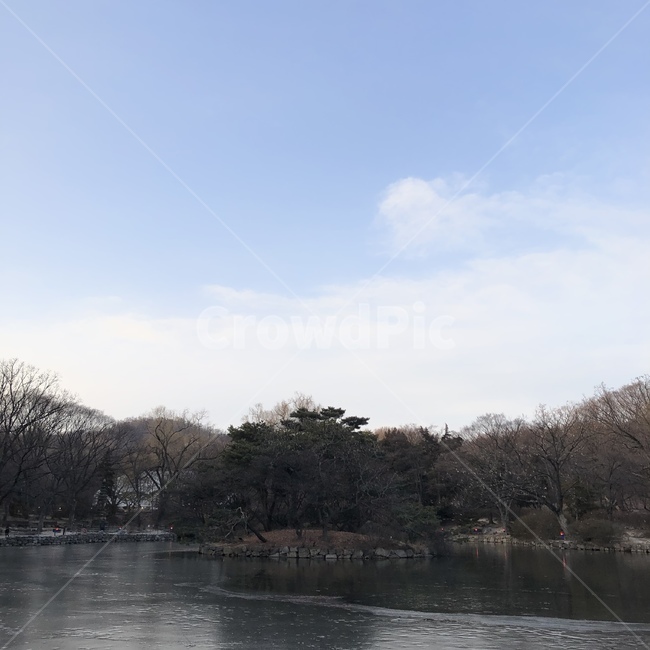겨울,연못,자연,언,아침,역사,나무,강