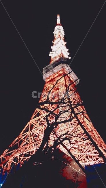 일본,도쿄,도쿄타워,탑,tower,건축물,architecture,밤,night