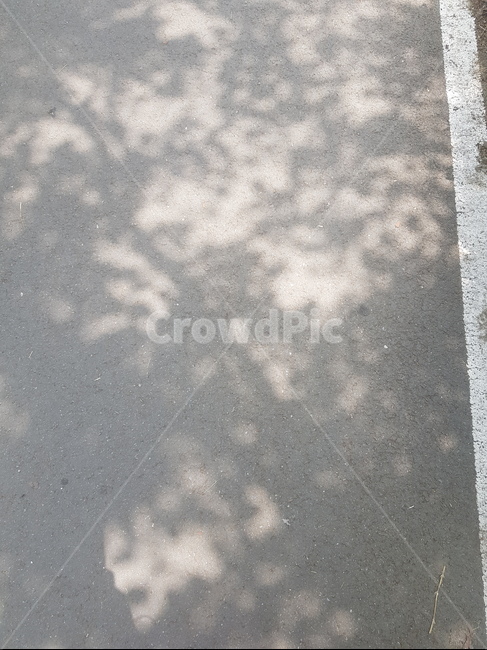 그림자,shadow,잔상,아스팔트,빛