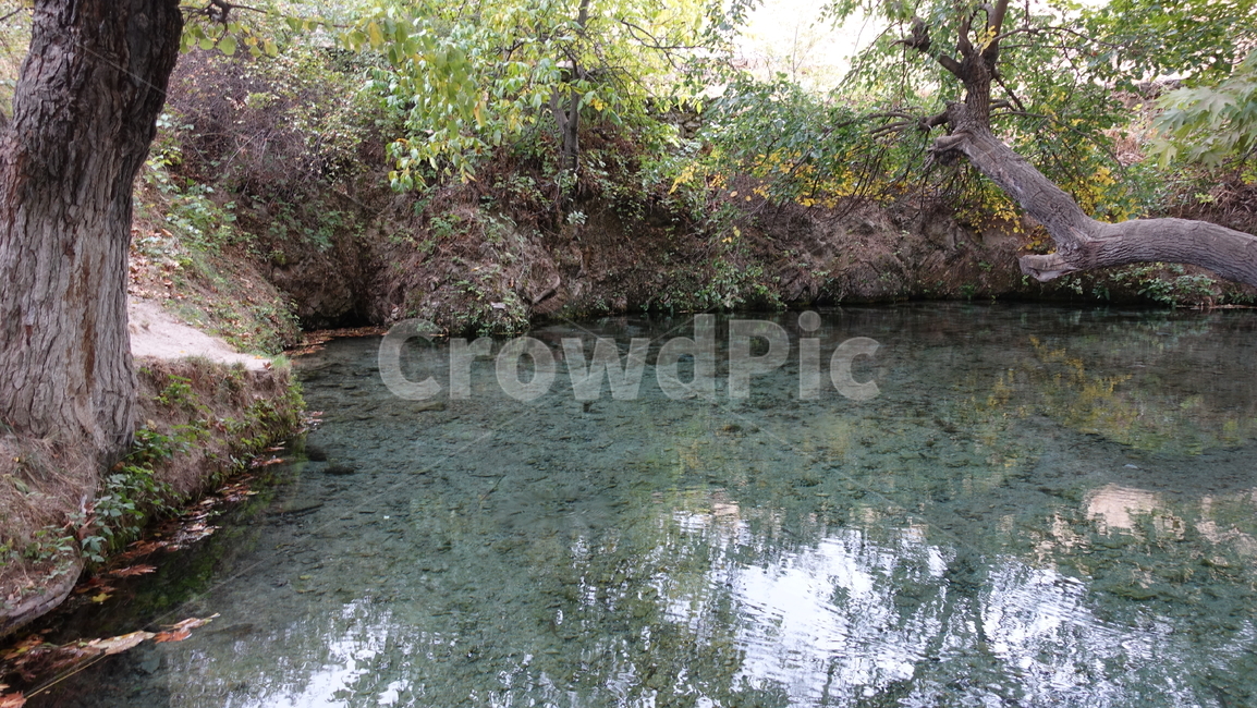 lake,호수,연못,자연,nature,blue,파랑,나무,tree